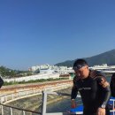 태건정비 | 2016년 제6회 전라남도지사배 트라이애슬론 여수대회 - 후기