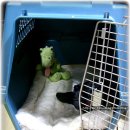 펫코랜드 이미지