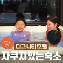 펜트온 | 양양 디그니티 호텔 펜트하우스 만족스러웠던 후기