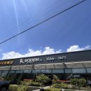 로뎀 농장 | 🌸 천안,아산 로뎀농원, 최대규모의 꽃 도매시장 방문후기