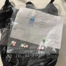 인일약국 | #결혼식 전 내돈내산 기록 일기 (부케, 웨딩네일, 아이폰스냅사기, 식단, 다이어트약)