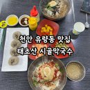 시골막국수 | 천안 유량동 맛집 ‘태조산 시골막국수’ 다녀온 후기