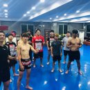 울진 제일약국 이미지