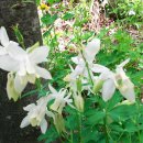 월포바닷가 이미지