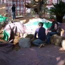 청양고추문화마을 이미지