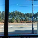 오송해물찜 이미지