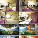 박스도로시 이미지