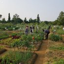 유인농장 이미지