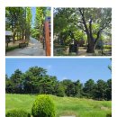 (주)꿈이있는 여행사