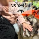 서창어린이집 | 인천 서창 실내동물원 쥬벅스 겁많은 아이 후기