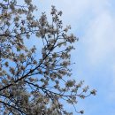 소사벌레포츠타운 이미지