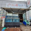 쨍하고회뜨는날