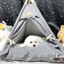 개편한집 이미지