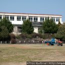 제일초 놀이터 이미지