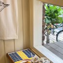 카페닐스 이미지