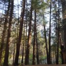 아름다운주유소 화장실 이미지