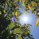 남원읍-80 이미지