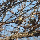 장머리방 이미지