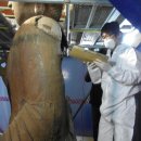 남원 실상사 철조여래좌상 이미지