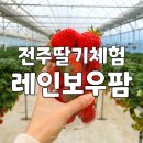 전주레인보우팜 네이버블로그