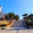 맥아더통상 이미지