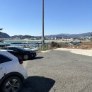 월포자연산횟집 | [포항]국물없는 포항식 물회가 궁금하다면 “월포백번횟집” 내돈내산 후기