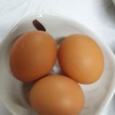 토담전복순두부 이미지