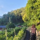 희양산토담펜션 이미지