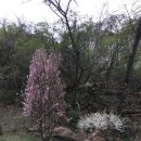 옥주농장 이미지