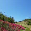 입점리고분전시관 이미지