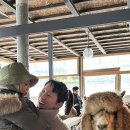 새별농장 네이버블로그