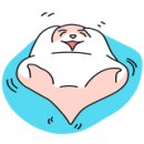 솝앤헤어 이미지