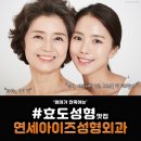 연세아이즈성형외과의원 이미지