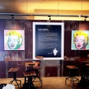 메그네이트 이미지