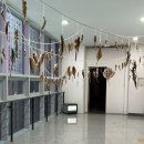 가덕도리얼민박비로네 | [부산] 부산현대미술관 ‘이것은 부산이 아니다 : 전술적 실천’ 관람 후기