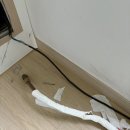 파주위니아서비스 이미지