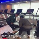 팀터틀랫 진영점 이미지