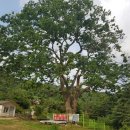 신암낚시터 이미지