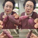 카페385 이미지