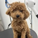 멍그라미 이미지