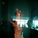 산호빌딩 이미지