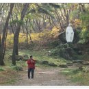 가을빛 따라 순례자의 걸음을 옮기며 느릿한 마음으로 통나무 집을 찾아 들었다. 이미지