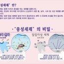 천사세탁 이미지