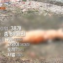 복실농장 이미지