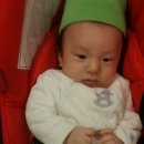 쁘띠쟈니 이미지