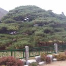 운문사사리암주차장 이미지