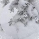 청춘고백 이미지