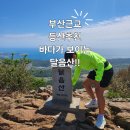 청소년수련관 화장실 | 부산 기장 달음산 등산 후기 청소년수련관 코스 587미터