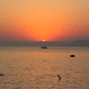 (주)구도 이미지