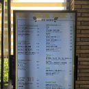 연수꽃식물원 | 송도 대형카페 포레스트아웃팅스 식물원 느낌의 가족 나들이 추천